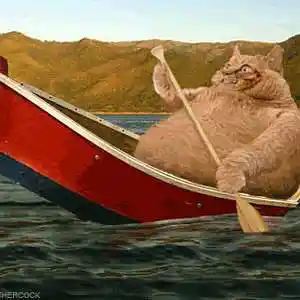 Picture for song 'AIR DROP DRAM TYPE' by artist 'Stratdollar On Da Beat -Dj Strategy'