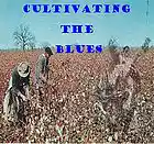 Picture for song 'Cultivating the Blues' by artist 'Freddy J'