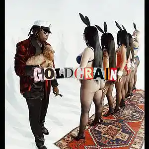 Picture for song 'HOOK UP - Gunna Type Beat - 118bpm G#min' by artist 'Goldgrain'