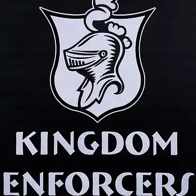 Picture for song 'Future Me' by artist 'Kingdom Enforcers'