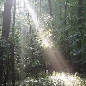 Picture for song 'Take Me Back To The Stars' by artist 'Leonard Scaper'