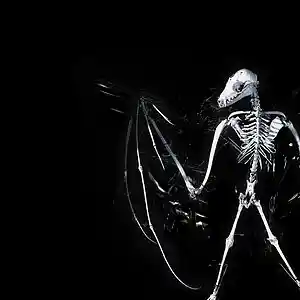 Picture for song 'Killmyself' by artist 'mikkniko'