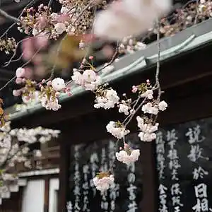 Picture for song 'Say Something' by artist 'P.R Beats'