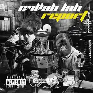 Picture for song 'Collab lab report' by artist 'Sage Satyr'