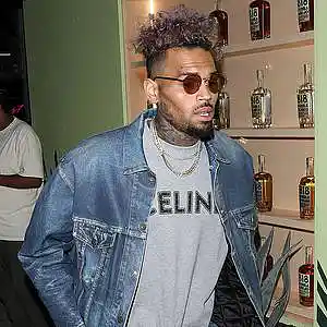 Picture for song '"Feelings" Chris Brown Type Beat, RnB Instrumental' by artist 'Sample Type Beats'