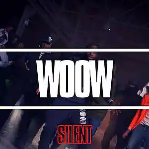 Picture for song '"Woow" Tion Wayne Type Beat Afro Drill' by artist 'Silent The Producer'