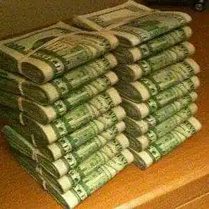 Picture for song 'WST 4 LIFE' by artist 'TRIPLE ACE BOOGIE'