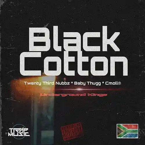 Picture for song 'Twenty Third Nubbz ft Cmoll - I love my Chicks' by artist 'Blackcotton'