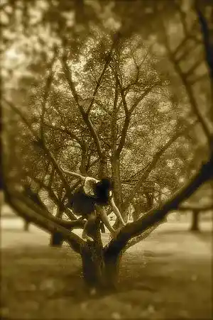 cover pic