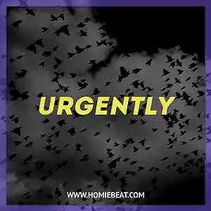 Picture for song 'Urgently' by artist 'Homiebeat'
