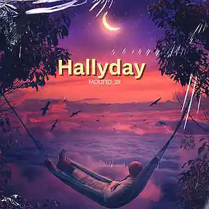 Picture for song 'Emotional Hard Type Beat " HALLYDAY "' by artist 'Moufid'