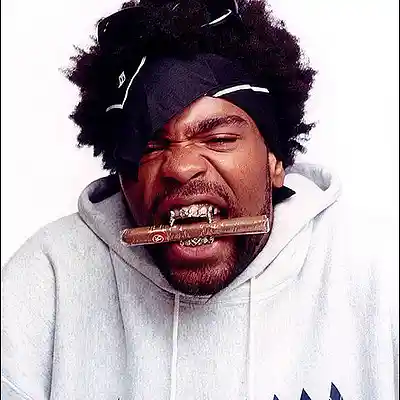 Picture for song 'The Show Remix ft. Method Man' by artist 'Mr. Freeze Productions'
