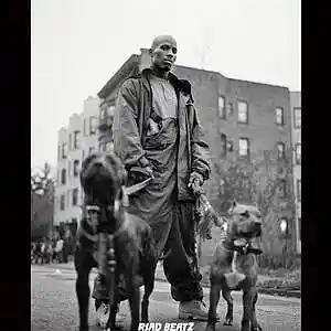 Picture for song 'Underground Boom bap beat" Dog Tamer"' by artist 'RIAD BEATZ'