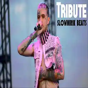 Picture for song 'Tribute' by artist 'Slownirik'
