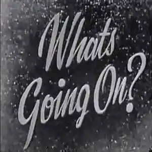 Picture for song 'What's Going On' by artist 'Swampman And The Machine'