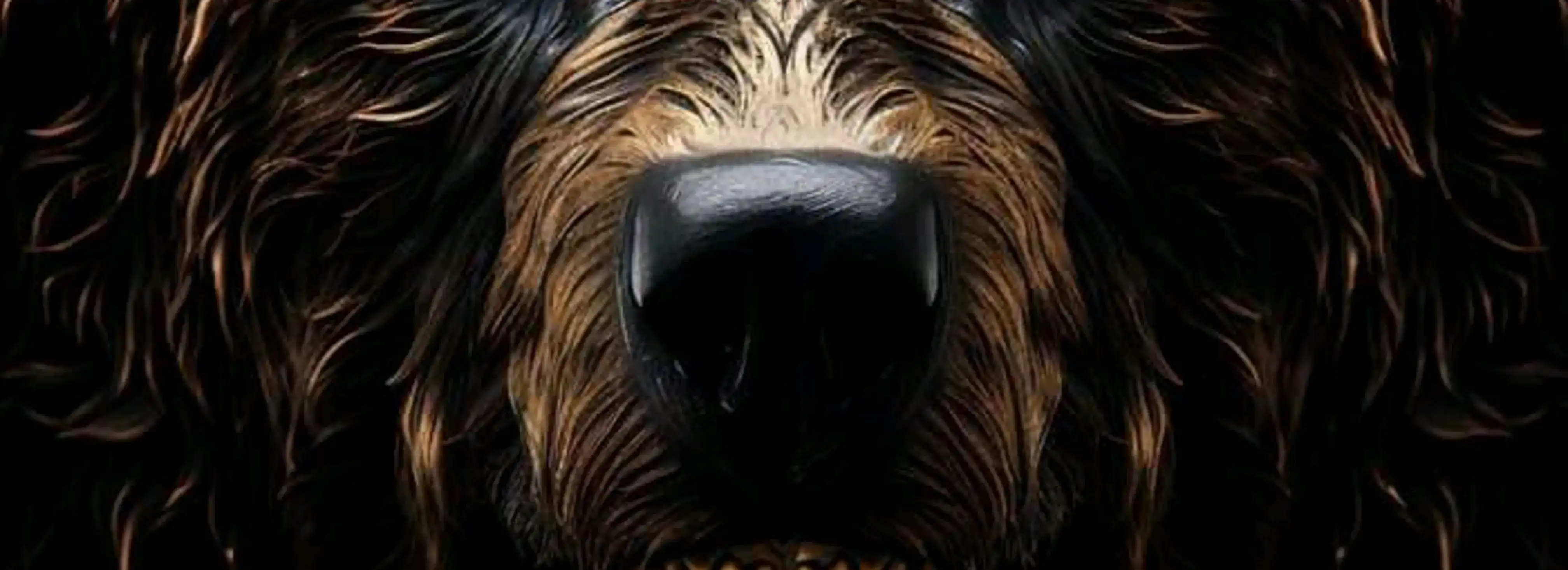 cover pic