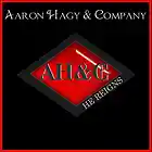 Picture for song 'Cover Me' by artist 'Aaron Hagy and Company'