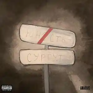Picture for song 'Why' by artist 'amadeus'