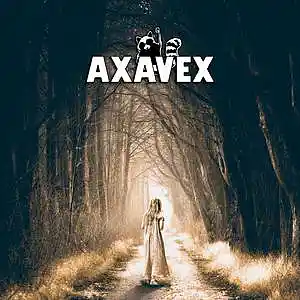 Picture for song 'The Dream' by artist 'AXAVEX'
