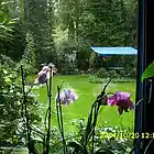 Picture for song 'Sittin' at the window (with Mathew Dandelion)' by artist 'Deep SilverBlues'