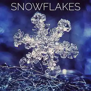 Picture for song 'Snowflakes' by artist 'Florian Gleisberg'