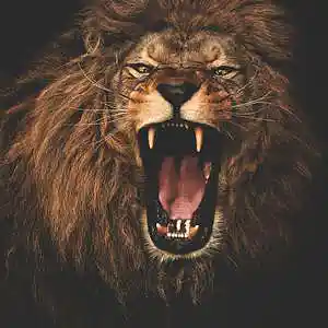 Picture for song 'Beast Mode - 170bpm' by artist 'Hellboii Music'