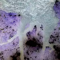 Picture for song 'bassasstic' by artist 'IAMLBM'