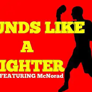 Picture for song 'Sounds like a Fighter Feat McNorad' by artist 'KayZane'