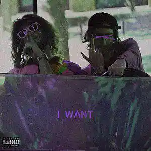 Picture for song 'I Want' by artist 'Okayt98'