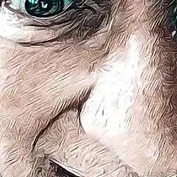 Picture for song 'Don't blame I'm just a piano player - 25.10.17' by artist 'Peter Kosta's Galaxy Rock Band'