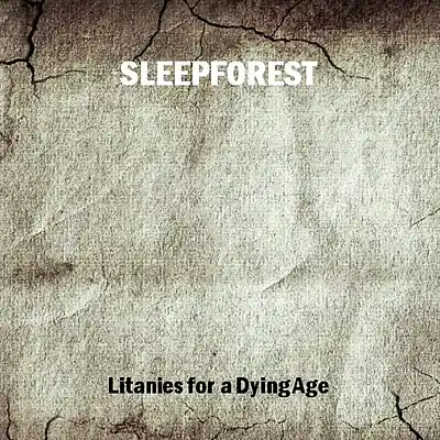 Picture for song 'In Hands of Lamentation' by artist 'SLEEPFOREST'