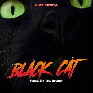 Picture for song 'Black Cat' by artist 'The Resort'