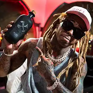 Picture for song 'The Descendants' by artist 'Brentin Davis Beats'