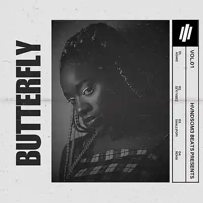 Picture for song 'Butterfly' by artist 'Hvndsom3 Beats'