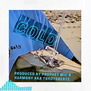 Picture for song 'Cold' by artist 'Prophet Mic n Harmony'