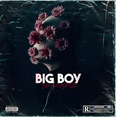 Picture for song 'Big Boy' by artist 'TAVY BEATZ'