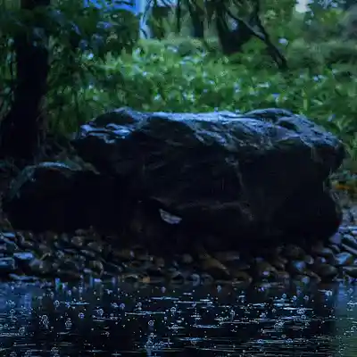 Song picture