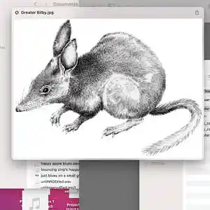 Picture for song 'the mouse's ice breeze cyber news' by artist 'tichphillips'