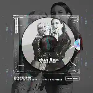 Picture for song 'Prisoner (SOLD)' by artist '8kgod'