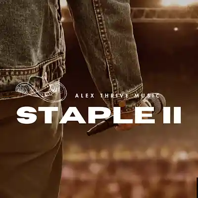 Picture for song 'Staple II (Chris Stapleton Country Rock Type Beat)' by artist 'Alex Thrive Music'