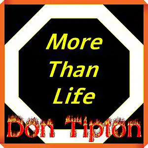 Picture for song 'More Than Life (studio version)_Remastered' by artist 'Don Tipton'
