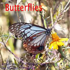 Picture for song 'CO 14 Butterflies' by artist 'martin stirrup'