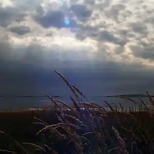 Picture for song 'crazy [1]' by artist 'Mattila'