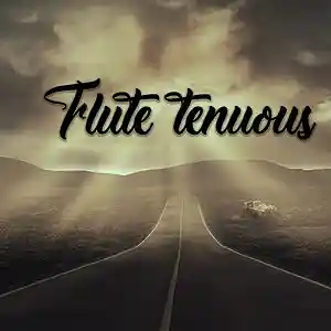 Picture for song 'Flute tenuous' by artist 'Rapsyss Beatmaker'