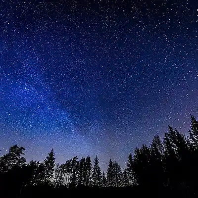 Picture for song 'Monday Evening' by artist 's9undV1ZNZ K 0 D 3 7'