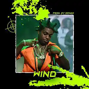Picture for song 'Polo G x Toosii x Kodak Black Type Beat - Wind' by artist 'sange beats'
