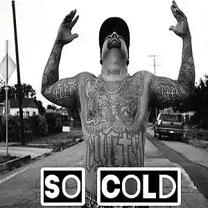 Picture for song 'So Cold Pt 1 (Gangsta Beat)' by artist 'WESOUAFOOL'