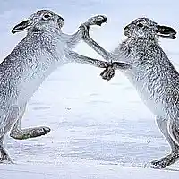 Picture for song 'TAK 37 Bedlam Stories 5' by artist 'Jammer59'