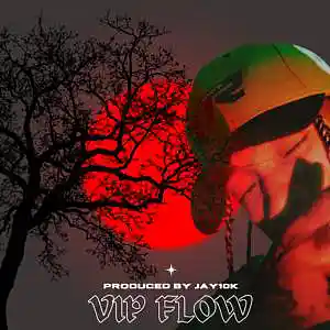 Picture for song 'VIP FLOW (Tyga west coast club banger 2022)' by artist 'Jay10k producer'