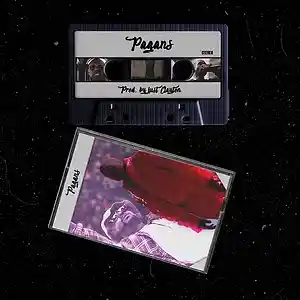 Picture for song 'Pagans' by artist 'just Clayton'